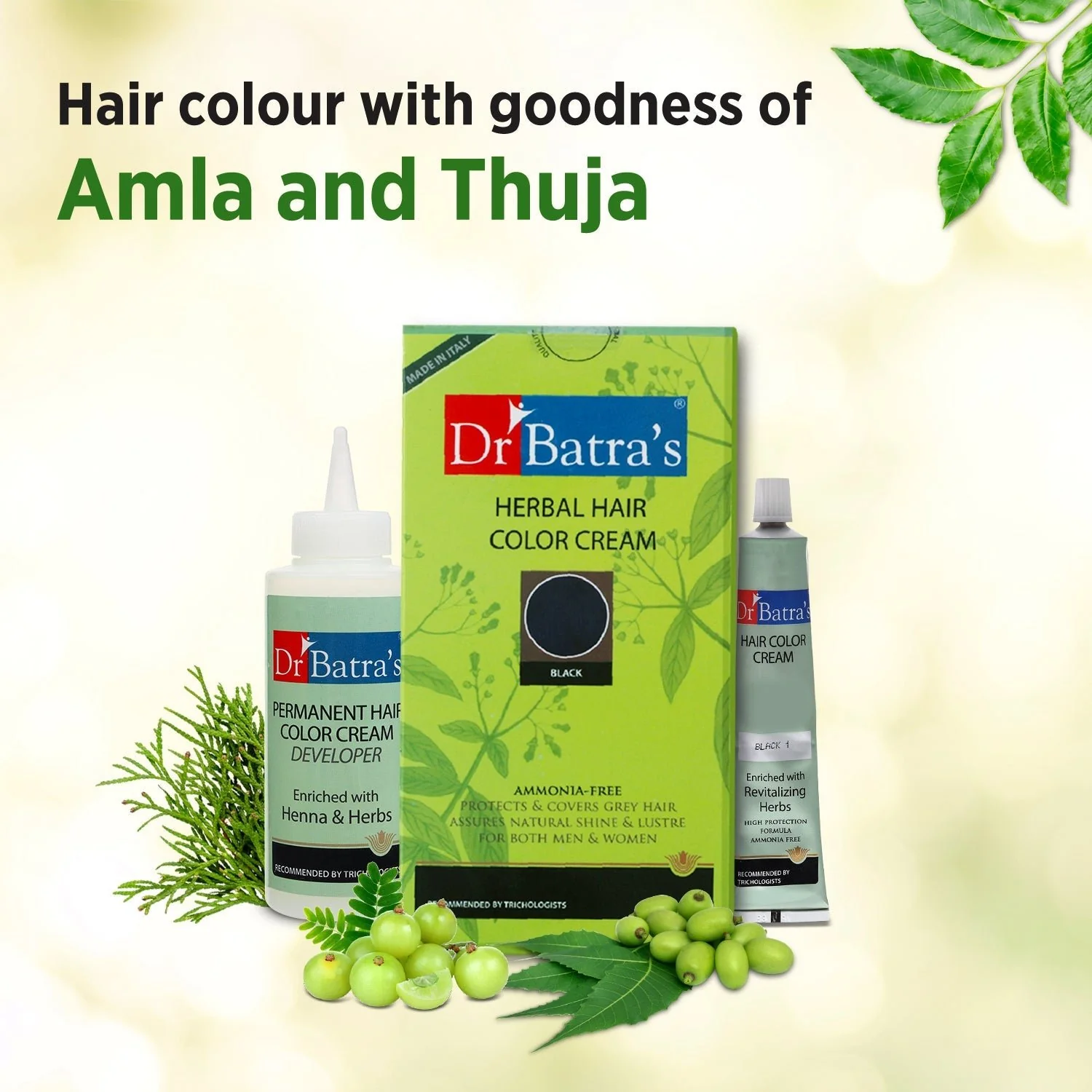 Herbal Black Hair Color Cream 130g – With Amla & Thuja | Ammonia-Free, Long-Lasting & Nourishing | For Men & Women - Image 4